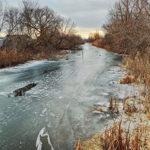 Photo #8664097
