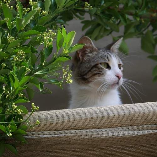 Photo #8664230
