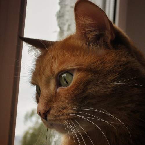 Photo #8664277