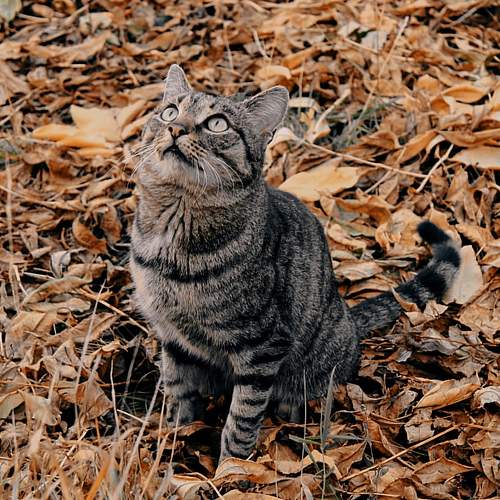 Photo #8664542