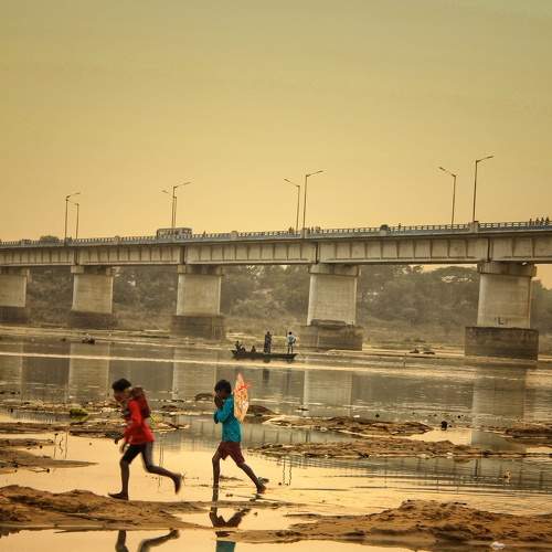 Photo #8664763