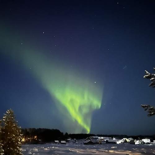Photo #8665450