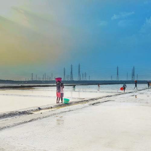Photo #8665578