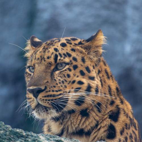 Photo #8665593
