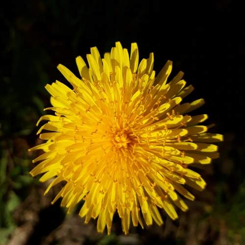 Photo #8665792