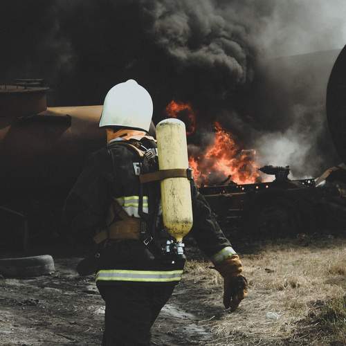Photo #8665846