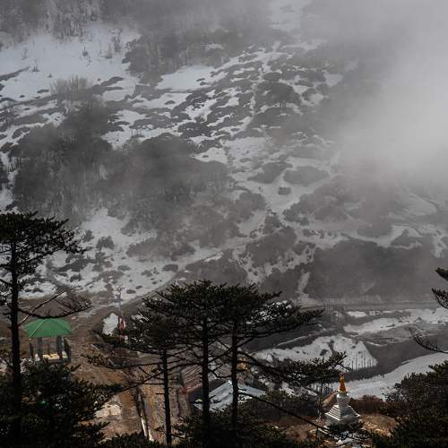 Photo #8665917