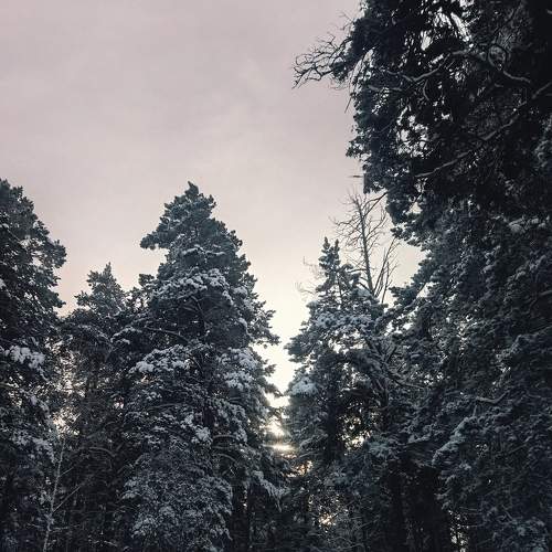 Photo #8666133