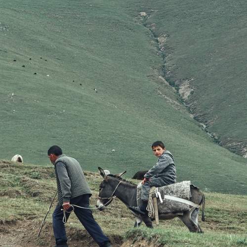 Photo #8666808