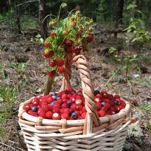 Photo #8666823