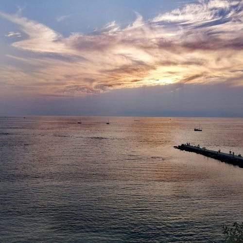 Photo #8667115