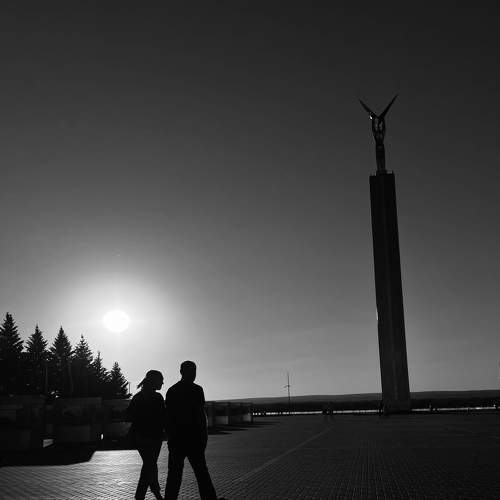Photo #8667307