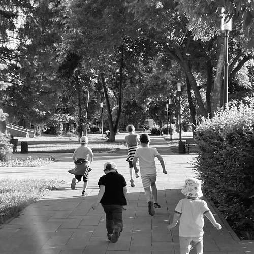 Photo #8667311