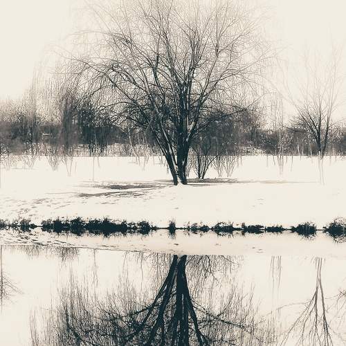 Photo #8667553