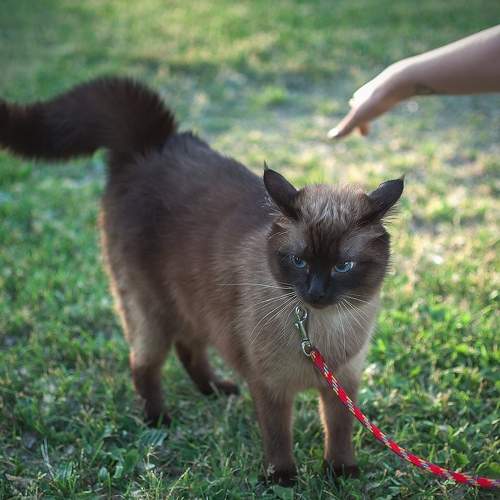 Photo #8667656