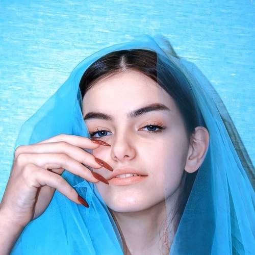 Photo #8667668