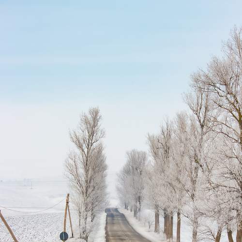 Photo #8667687