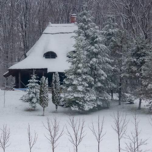 Photo #8667698