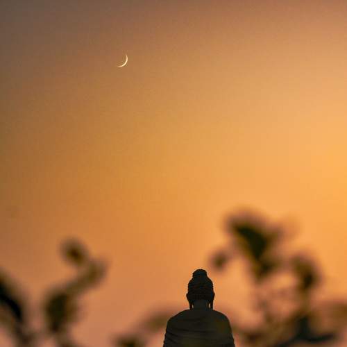 Photo #8668032