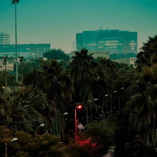 Photo #8668033