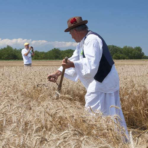 Photo #8668710
