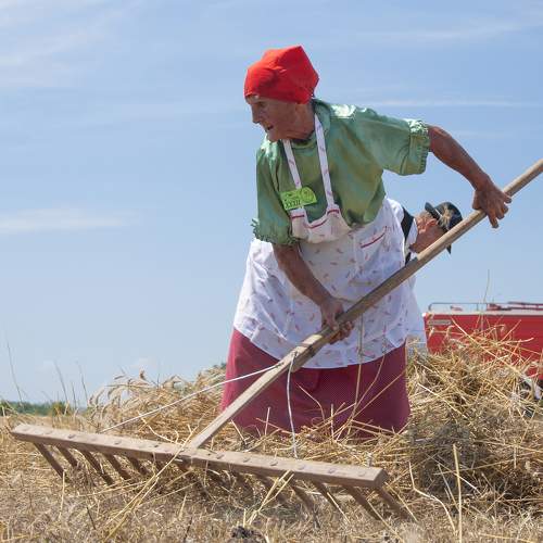 Photo #8668720