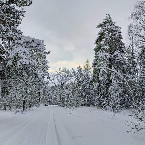 Photo #8668986