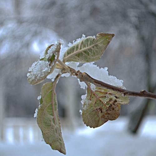 Photo #8669253