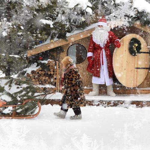 Photo #8669466