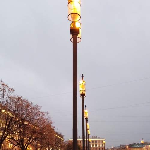 Photo #8669471