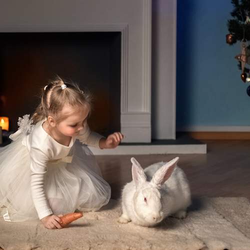 Фотография #8669477