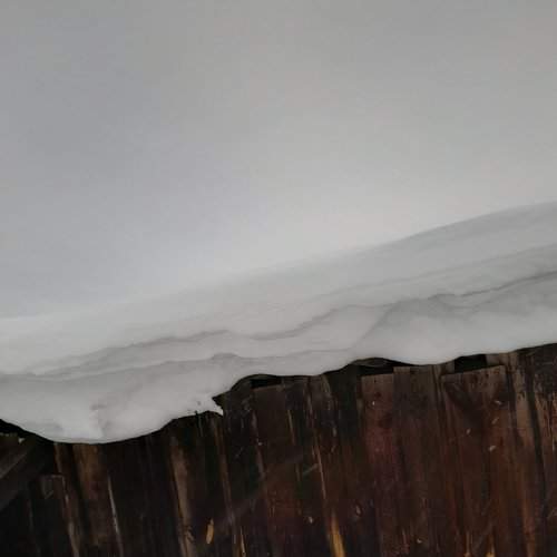 Photo #8669742