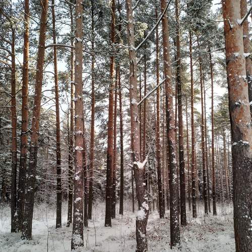 Photo #8670376