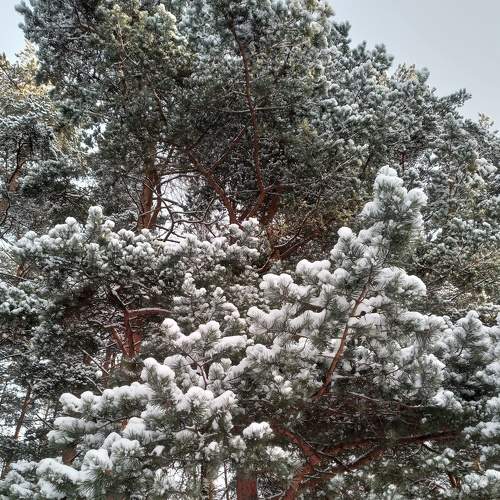 Photo #8670396