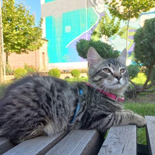 Photo #8670405