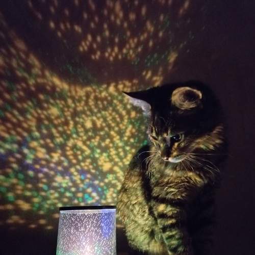 Photo #8670407