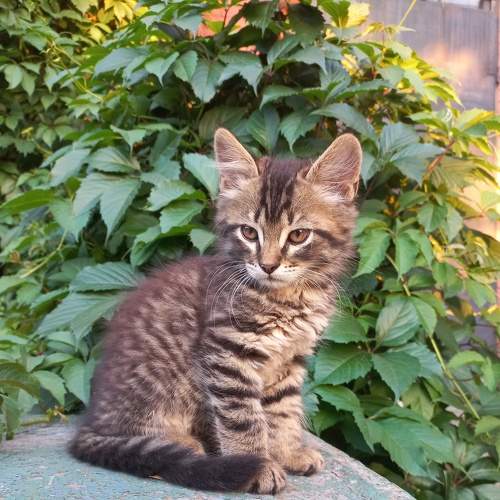 Photo #8670408