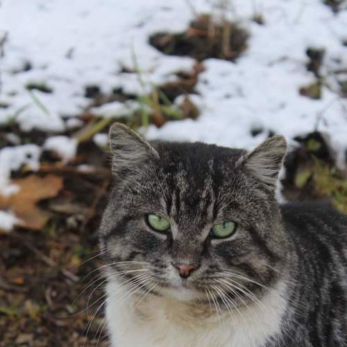 Photo #8670859