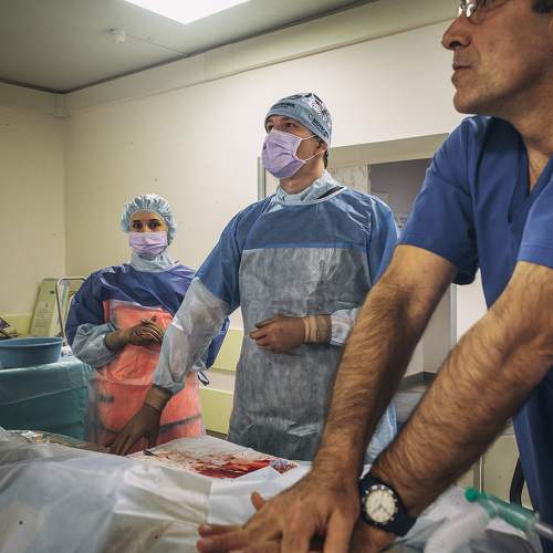 Фотография #8671187