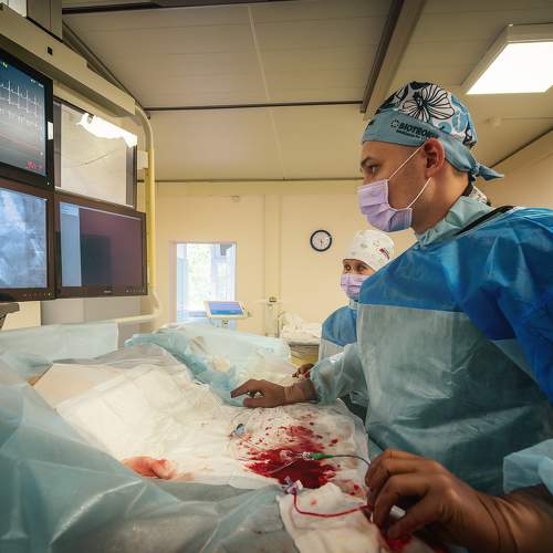 Фотография #8671193