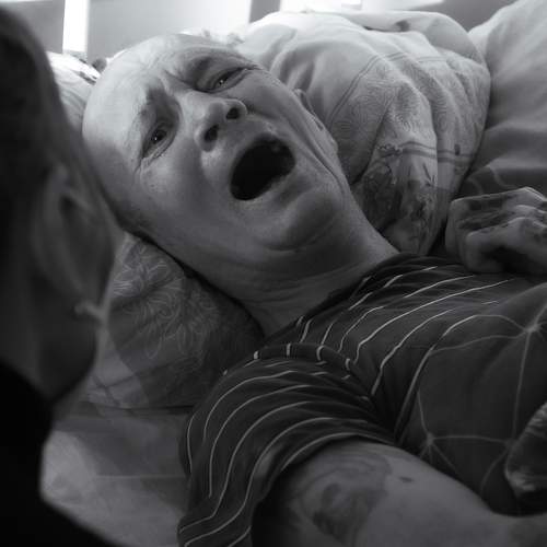Photo #8671201