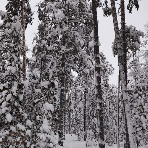 Photo #8671317