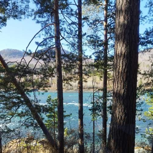 Photo #8671335