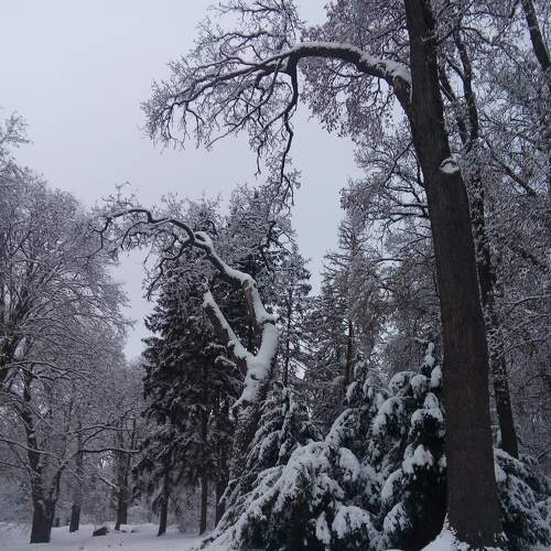 Photo #8671686