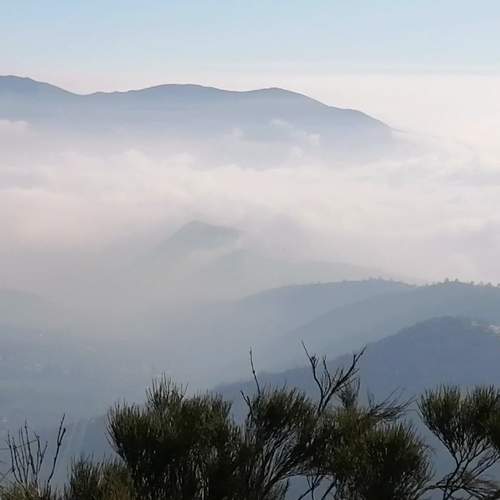 Photo #8671807