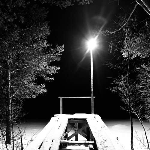 Photo #8672063