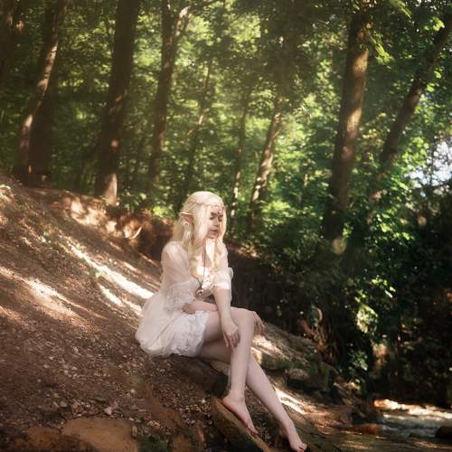 Photo #8672298