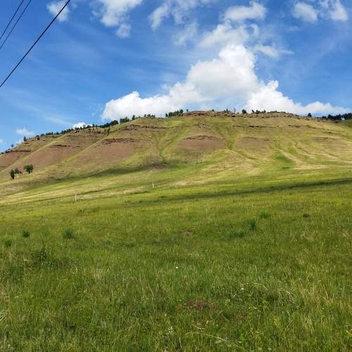 Photo #8672531