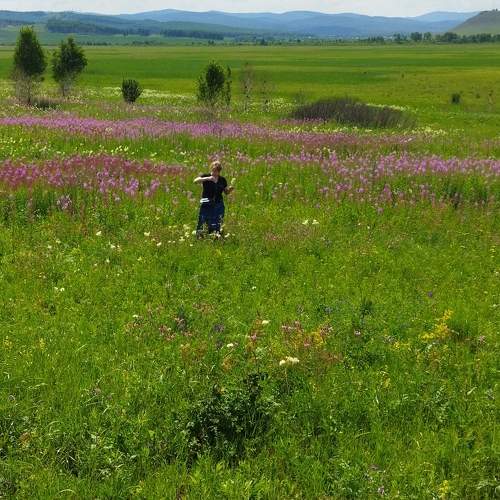 Photo #8672532