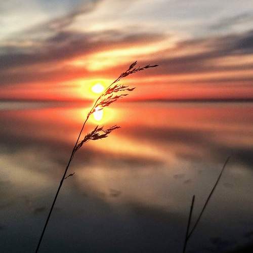 Photo #8673113